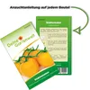 Stabtomaten Goldene Königin Samen - Solanum lycopersicum - Produktbild-Vorschau 3