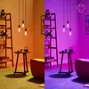 Philips Lampadina trasparente a filamento 40 W ST64 E27 Anteprima dell’immagine prodotto 15