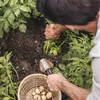 Fiskars Xact, Zahradnická lopatka, Nerezová ocel, Černá, Náhled obrázku produktu 10