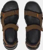 Sandalen für die Berge Timberland Winsor Trail Braun - 44 Produktbild-Vorschau 13
