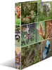 HERMA 2D bosdieren, A4-formaat, zelfklevend, karton, Productafbeelding-voorbeeld 1