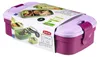 The image shows a Curver Lunch & Go lunchbox, presented in its retail packaging. Anteprima dell’immagine prodotto