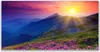 Glasbilder 140x70 Wandbild Druck auf Glas Gebirge Blumen Produktbild-Vorschau 1