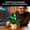 LEGO Botanicals 11504 Fleurs de lune - Ensemble de plantes Voir les images du produit 37