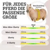 A size chart for horse equipment, showing different sizes of Shetland ponies and their corresponding measurements. Produktbild-Vorschau