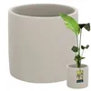 A large gray cylinder planter is shown in the foreground, with a smaller planter of the same design in the lower right corner. A plant with large green leaves is partially visible in the larger planter. Anteprima dell’immagine prodotto