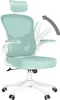 Kancelářská židle - Ergonomická kancelářská židle - Otočná Náhled obrázku produktu 1