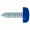A single screw with a blue cap on a white background. Produktbild-Vorschau