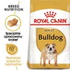 Royal Canin Bulldog Adult, Dorosły, Buldog, Średnie (11 - Podgląd zdjęcia produktu 2