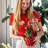 Kolibri Orchids rote Phalaenopsis-Orchidee Kongo + Produktbild-Vorschau 2