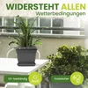XXL Pflanzkübel anthrazit 48x48 cm, robust, modernes Produktbild-Vorschau 6