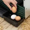 Zona agricola Nido per galline 4 scomparti Anteprima dell’immagine prodotto 3
