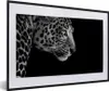 MuchoWow® Gerahmtes Poster Leopard - Schwarz - Weiß - Pelz Produktbild-Vorschau 1