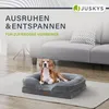 A beagle dog is resting on a gray dog bed placed on a rug in a living room setting with a sofa in the background. Produktbild-Vorschau