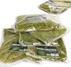 Terrario Shadow Forest Moss - muschio naturale 35x28cm Anteprima dell’immagine prodotto 4