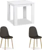 Homestyle4u Essgruppe mit 2 Stühlen 3 tlg Esstisch Set Weiß Produktbild-Vorschau 2