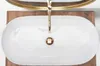 A top-down view of a white oval sink with a gold faucet and drain. Náhled obrázku produktu