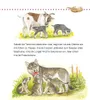 Unkaputtbar: Erstes Wissen: Tiere und ihre Kinder Produktbild-Vorschau 11