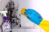 Cillit Bang Schimmelentferner 750ml Bad Küche Fliesen WC Produktbild-Vorschau 4