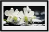 Bild 60x40 MDF-Rahmen Wandkunst Steine ​​Orchideen-Blumen Produktbild-Vorschau 1