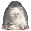 3tlg KATZE Schulranzen Rucksack Ranzen schulruckack Produktbild-Vorschau 13