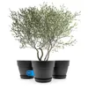 BigDean 3 Stück Blumentopf mit Untersetzer rund ø40 cm in Produktbild-Vorschau 1