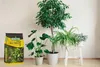 A bag of plant soil is placed on the floor next to several potted plants. Voir les images du produit