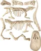Tyrannosaurus REX Archäologisches Set Produktbild-Vorschau 5