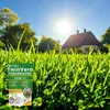 EcoDeco - Semences de trèfle nain pour gazon - Mélange de Voir les images du produit 22