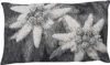 David Fussenegger Housse de coussin Silvretta 'Edelweiss' Voir les images du produit 1