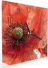 Wanduhr aus Glas mit Motiv Mohnblüten- 30 x 30 cm - inkl. Produktbild-Vorschau 2