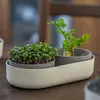 Plastia Urbalive Set Keimsprosskit Microgreens und Produktbild-Vorschau 23