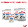 Royal Canin 9003579008690, Adult, 85 g Produktbild-Vorschau 9