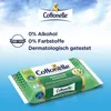 Cottonelle Feuchtes Toilettenpapier Wohltuende Sauberkeit Produktbild-Vorschau 4