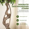 Ikodm umelá rastlina Ficus, výška 150 cm, nevyžaduje Náhľad obrázku produktu 6