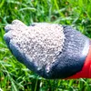Premium Rasenkalk & Gartenkalk Kalk Düngekalk gegen Moos Produktbild-Vorschau 2
