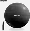 A black exercise ball with a pump next to it, presented on a white background. Náhľad obrázku produktu