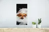 MuchoWow® Poster Versteckte Labradore zwischen den Federn Produktbild-Vorschau 5