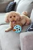 JW Hol-ee Roller M (11,5 cm) Giocattolo a sfera per cani di Anteprima dell’immagine prodotto 7