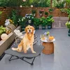A golden retriever dog sits on a gray elevated dog bed on a patio, surrounded by plants and outdoor furniture. Produktbild-Vorschau