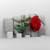 Bild auf Leinwand - Leinwandbild - Blume Holz Pflanze - Produktbild-Vorschau 4