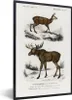 MuchoWow® MuchoWow® Gerahmtes Poster Vintage - Tier - Elch Produktbild-Vorschau 1