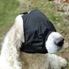 A dog wearing a black muzzle-like covering outdoors on grass. Produktbild-Vorschau