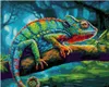 Schipper Peinture par numéros - Caméléon Voir les images du produit 3