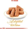 A plate of food with sauce, with text overlay. Produktbild-Vorschau