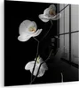 MuchoWow Glasbilder - Bilder auf Wandbild - Foto auf Glas Produktbild-Vorschau 1