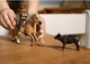 schleich Western Riding Adventures, 3 rok / roky, Náhľad obrázku produktu 13
