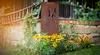 A rusted metal garden decoration with cut-out grass designs stands in front of a stone wall and wooden building, surrounded by yellow flowers. Produktbild-Vorschau