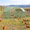 UISEBRT Hühnerstall 3x4m – Robustes Metall-Freilaufgehege Produktbild-Vorschau 11