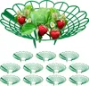Relaxdays Maturatore per fragole, set da 12 pezzi, Anteprima dell’immagine prodotto 1